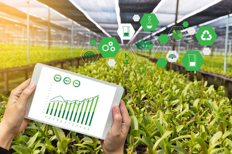 How Internet of Things (IoT) is Transforming Food Industry and Improving Food Safety