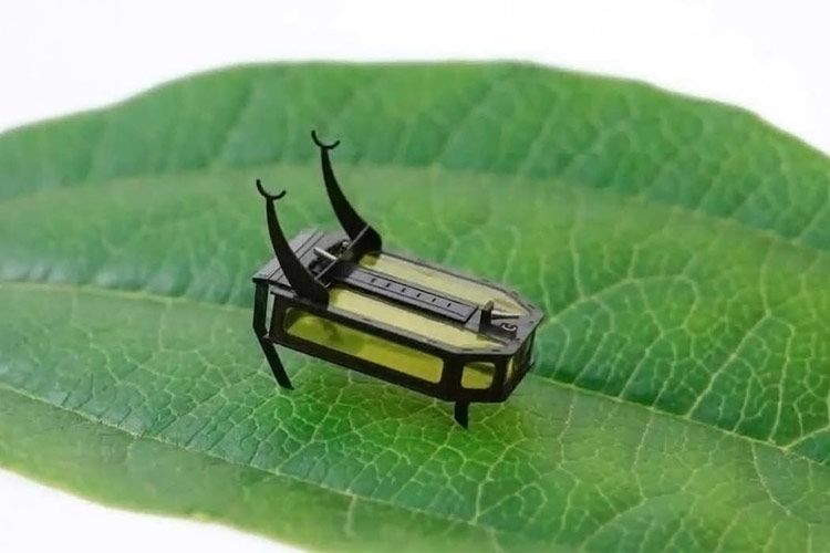 Micro-Robots that could potentially alter the Future of Robotics