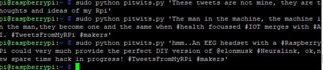 Raspberry-Pi Twitter Bot in Action