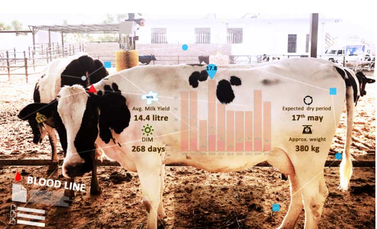 IoT based Livestock Monitoring