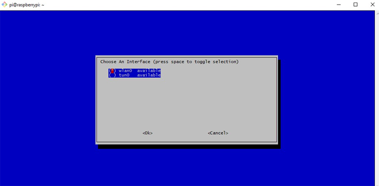 Pi Hole Interface