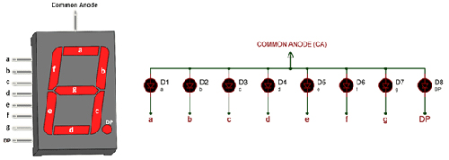 Common Anode type SSD