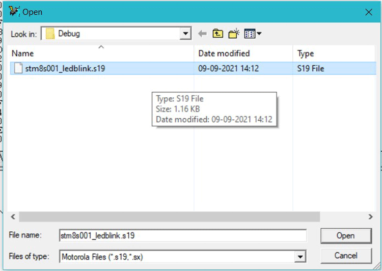 STM8S S19 File 