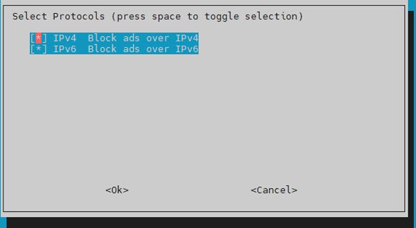 Accept Default IPv4 and IPv6 Protocols for Pi-hole Setup