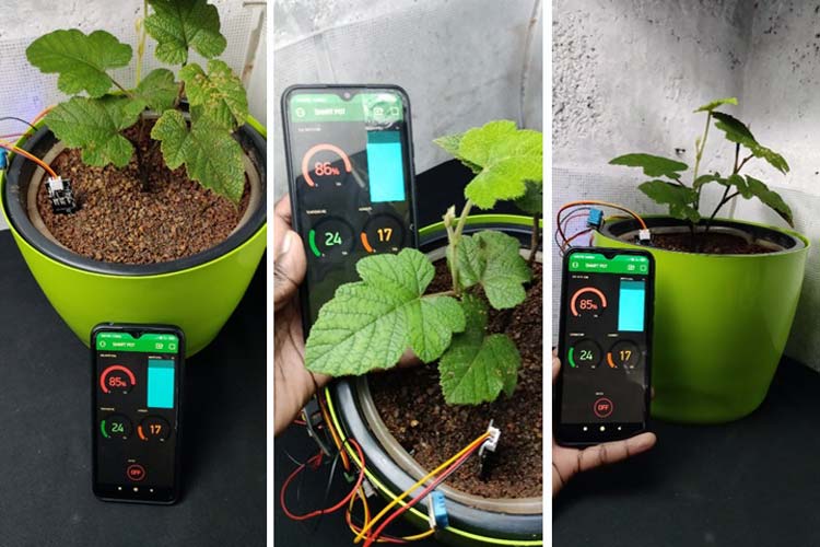 Self Watering Smart Pot