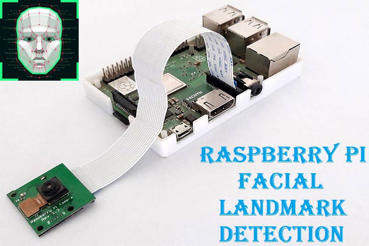 Raspberry Pi Facial Landmark Detection