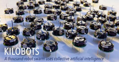 Introduction to Swarm Robotics