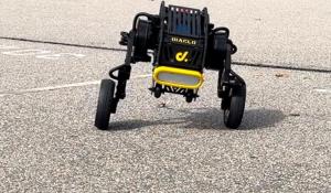 Diablo Raspberry Pi-Powered Robot