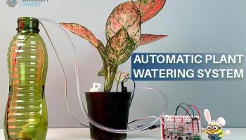 Automatic Plant Watering System